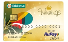 Looking for a credit card that has generous cash back and reward points? Then take advantage of IDBI Bank Credit Card. Here's how to apply: