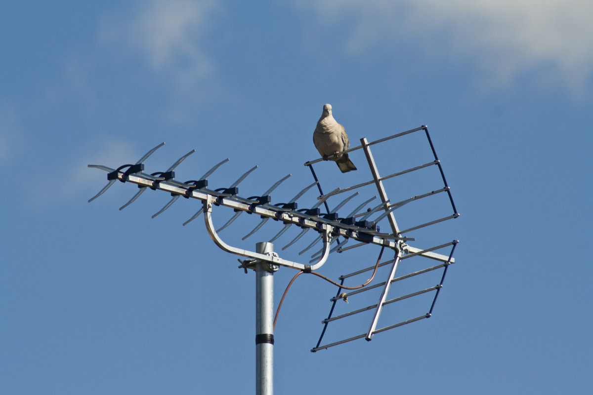 How to Build a Digital TV Antenna at Home